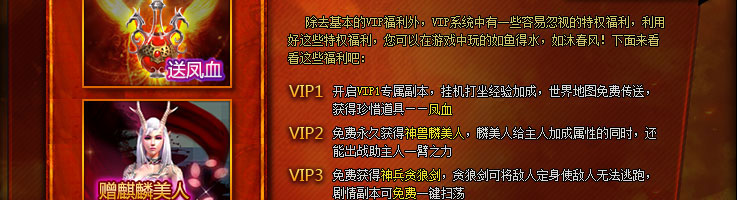 Chức Năng VIP — ảnh 4
