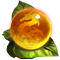Thú Cưỡi Đơn